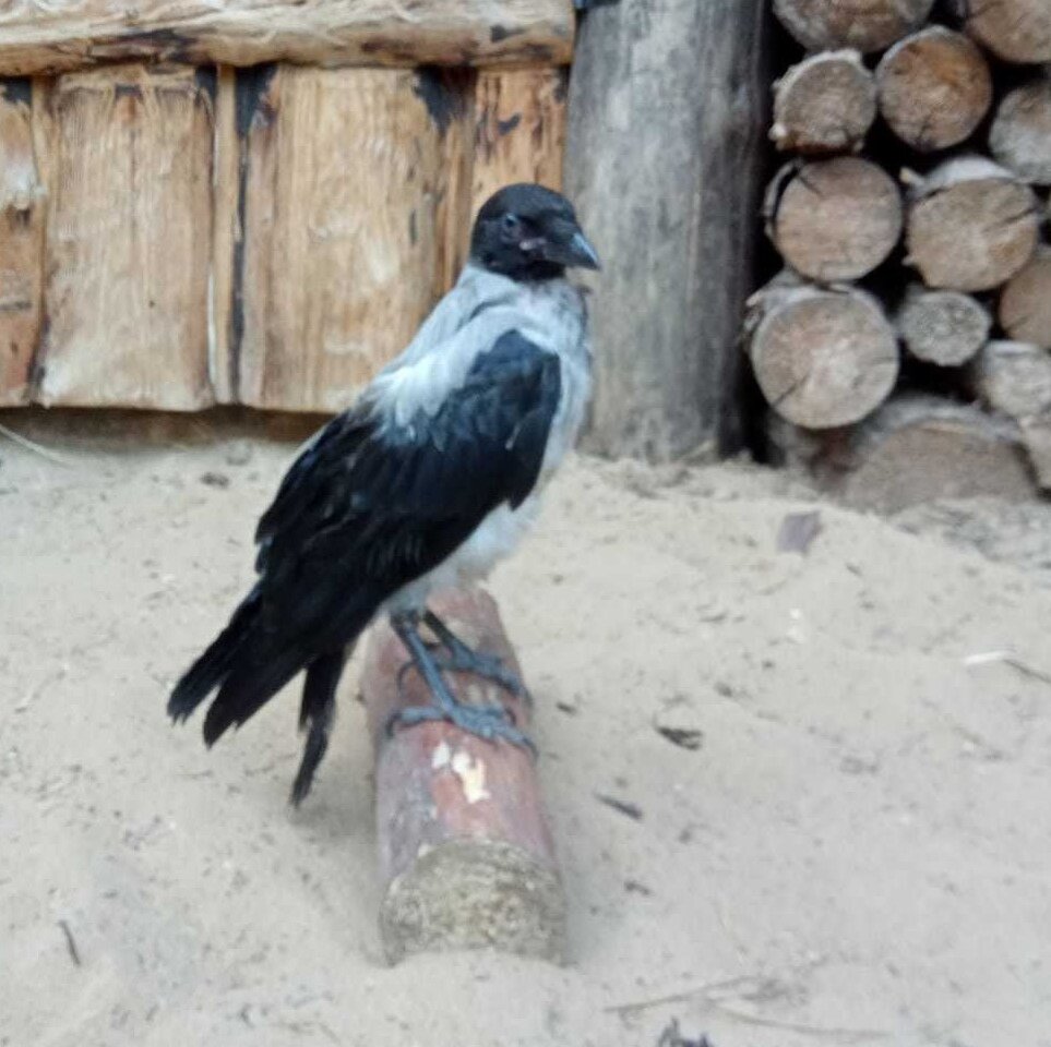 Фото из личного архива