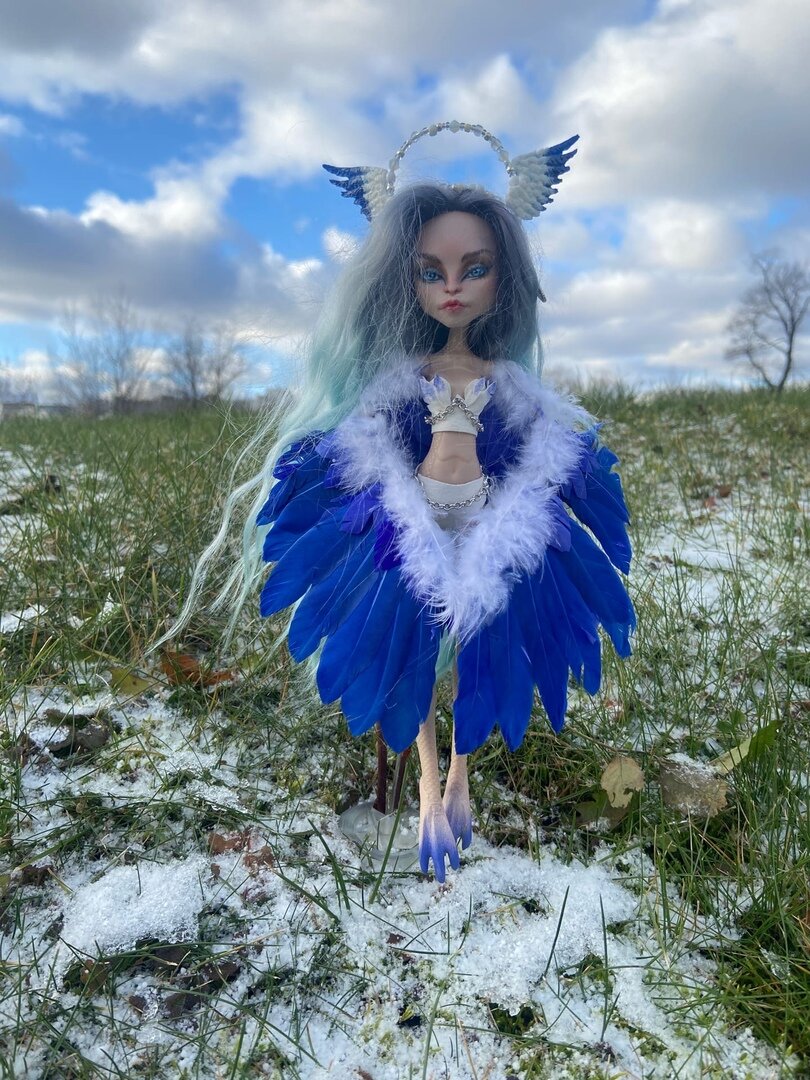 Проект Гарпия, фото автора