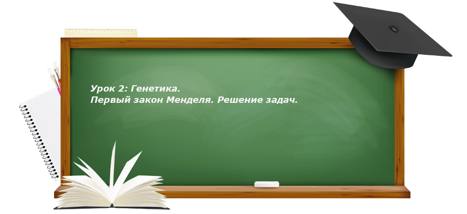 Первый закон Менделя - основа генетики. Он объясняет признаки скрещивания, наследования, взаимодействия аллелей и расчет вероятности признаков у потомства. Этот закон был сформулирован Грегором Менделем на опытах при скрещивании особей растений гороха, различающихся по паре альтернативных признаков(красные и белые цветки гороха) и является главной составляющей классической генетики по сей день.