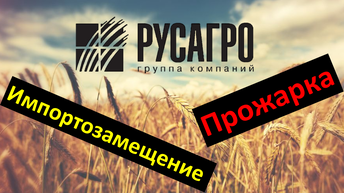 Прожарка РусАгро, . Про импортозамещение, цикл статей.