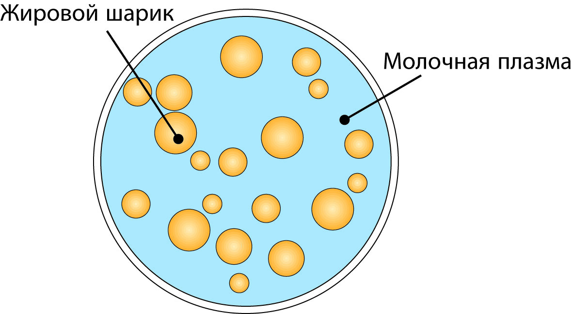 эмульсия