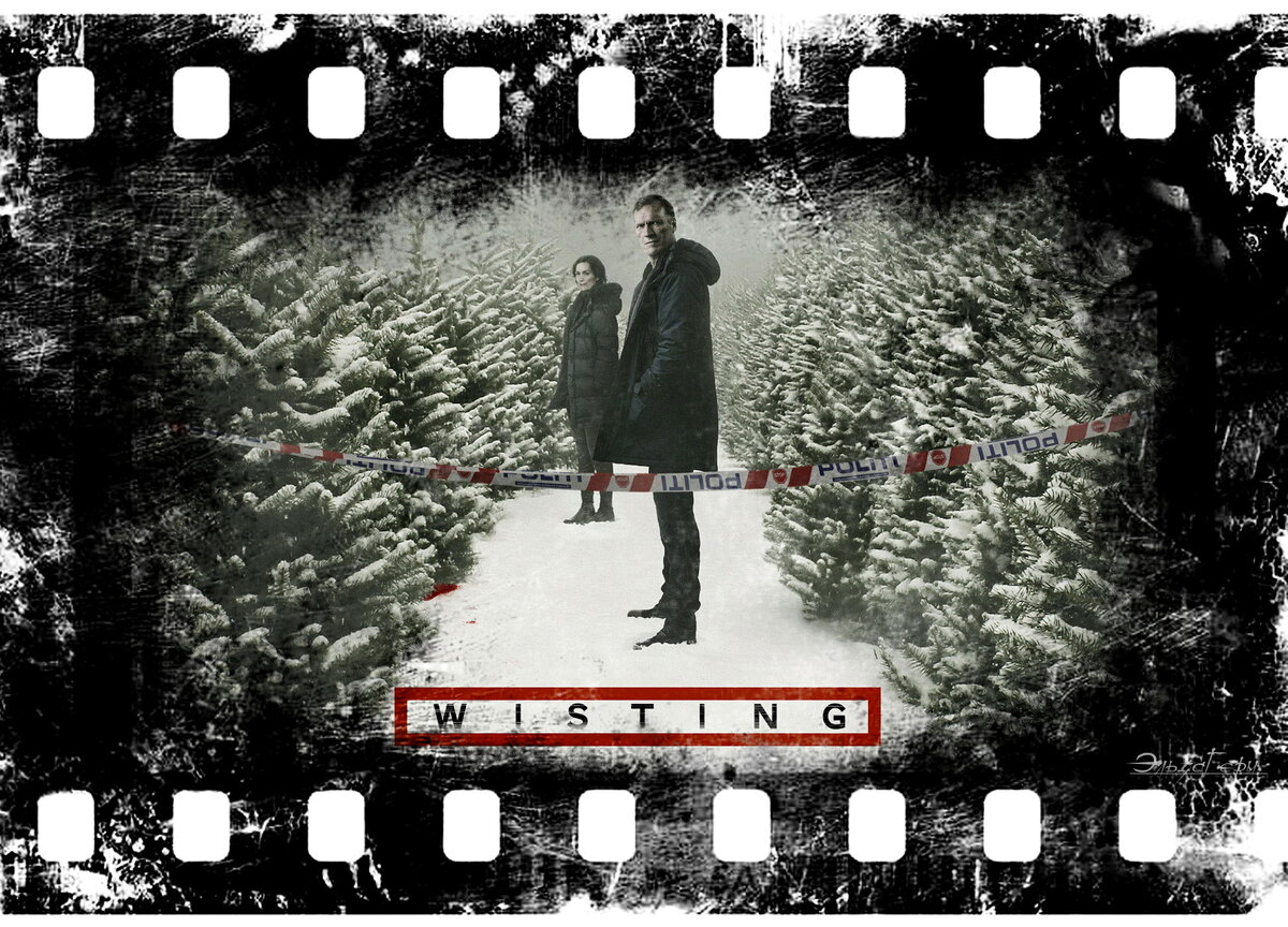 Wisting, сериал, с 2019 г. ФотоКоллаж Эльза Герм.