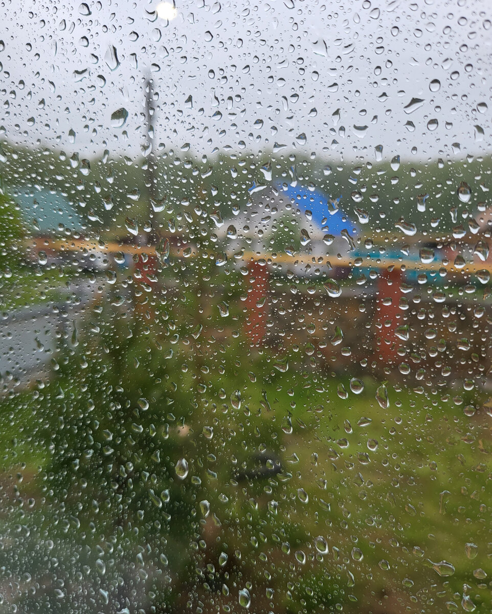 Вид из окна