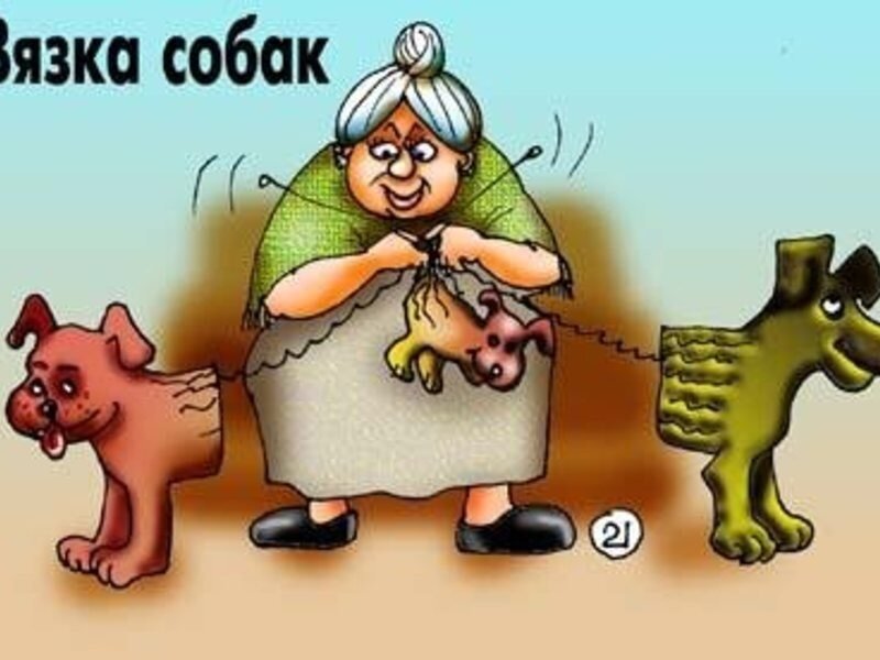 Фото из интернета 