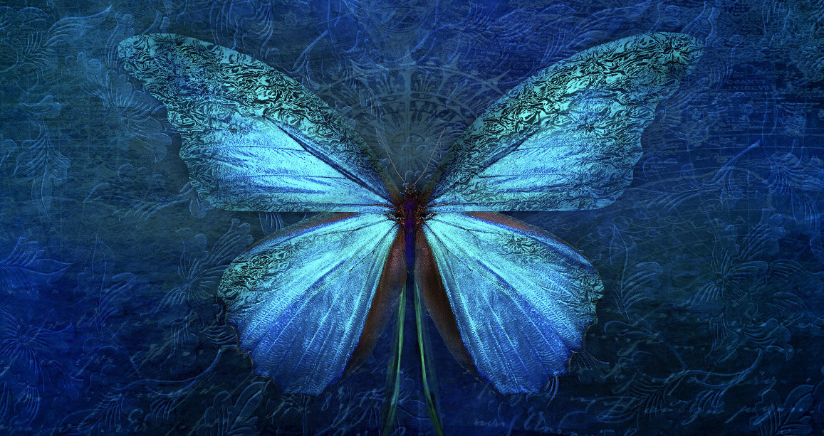 Изображение Selling of my photos with StockAgencies is not permitted с сайта Pixabay 