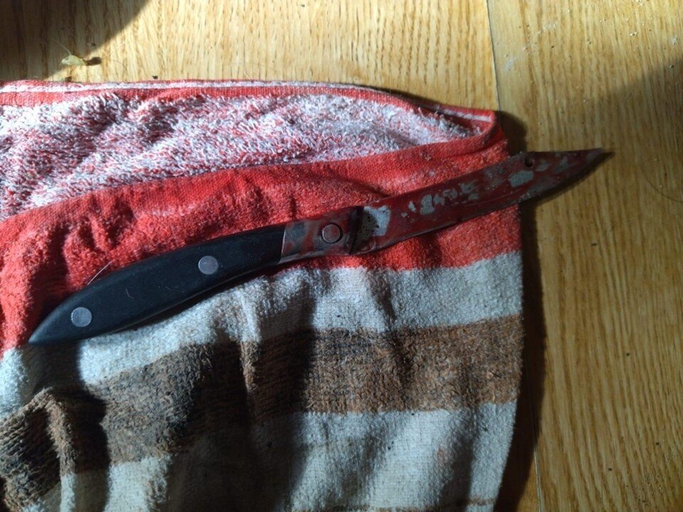     Жительница Никеля была пьяна, когда схватилась за нож. Фото: СКР Мурманской области