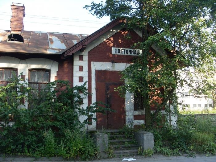 Грузовая станция "Цветочная". Современное фото