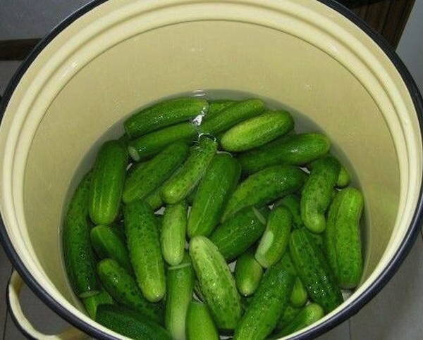 Замоченные огурцы
