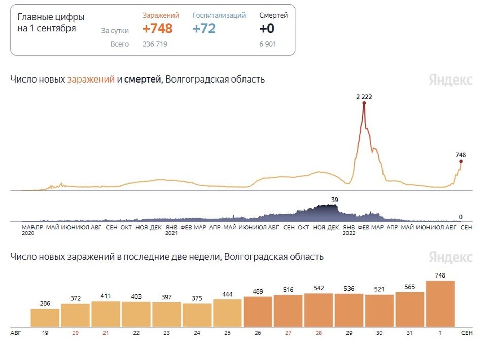     Статистика коронавируса в Волгоградской области по данным "Яндекса"