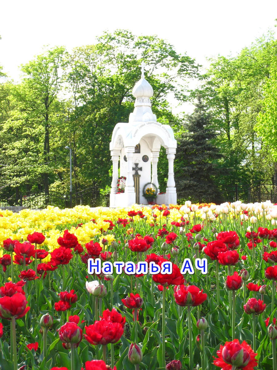 Фотография сделана мной