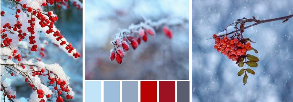Холодные оттенки зимних фотографий. Помимо льдистых синих и голубых, здесь есть красные  холодные оттенки. 