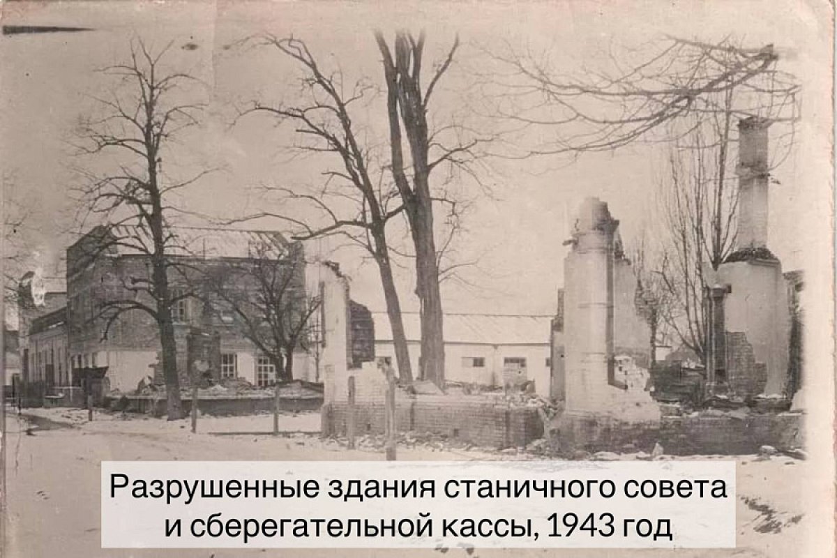    Губернатор напомнил об освобождении Белореченского района Кубани