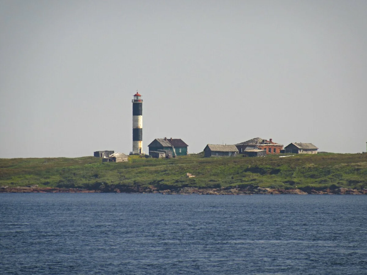 Остров сосновец в белом море фото