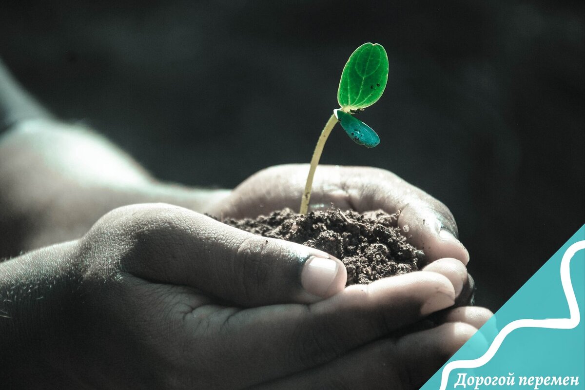 Взращивание любви к себе происходит медленно  