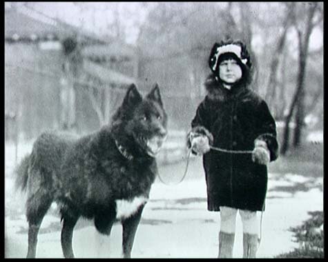 Фотография взята из открытых источников.