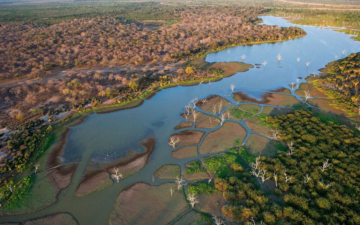 Озеро которое не относится к африке. Дельта Окаванго Ботсвана. Дельта реки Окаванго сафари. Дельта реки Окаванго Африка. Дельта реки Окаванго в Ботсване.