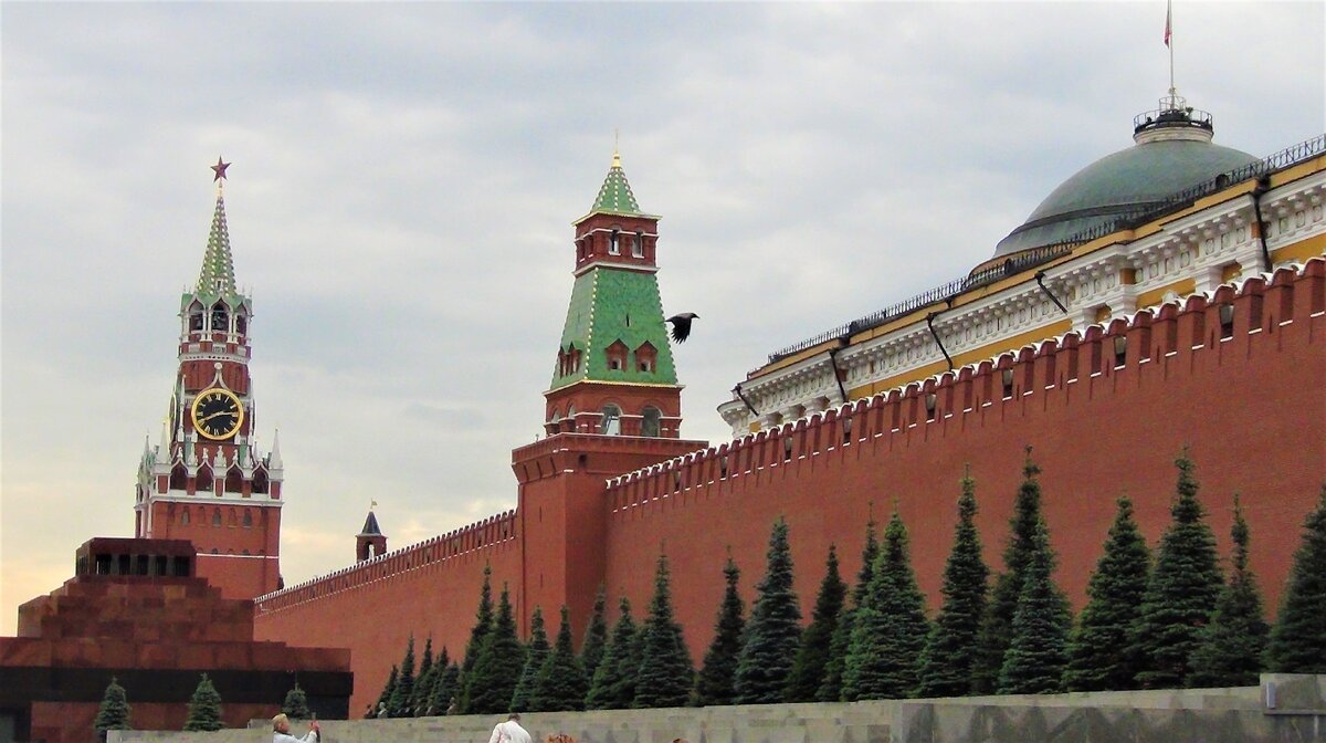 внимательные найдут на фото птичку. Прямо как в песне "...чёрный ворон, что ж ты вьёшься..."