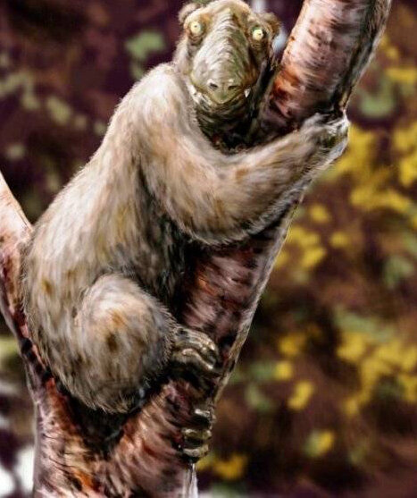 Мегаладапис