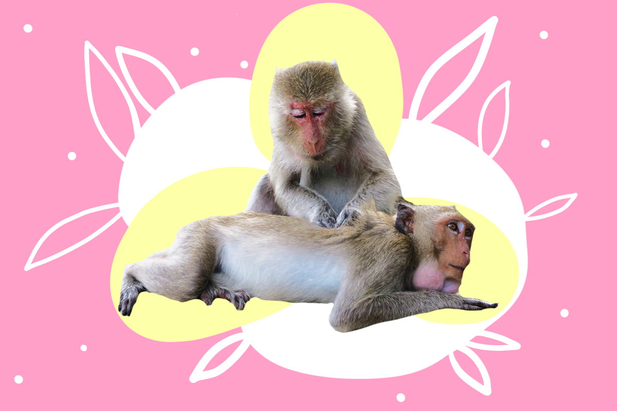 Авторская иллюстрация (apollloneva)