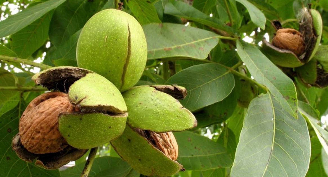 Твитнуть  Поделиться Класснуть Отправить Запинить