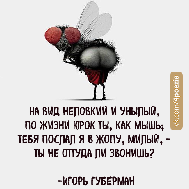 Гарики губермана. Губерман гарики. Гарики Игоря Губермана. Губерман Игорь гарики лучшее. Статус для сплетников и завистников прикольные