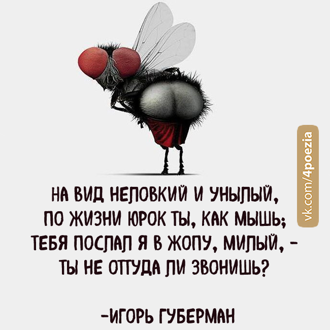 Губерман стихи. Губерман гарики. Гарики Игоря Губермана. Губерман Игорь гарики лучшее. Статус для сплетников и завистников прикольные.