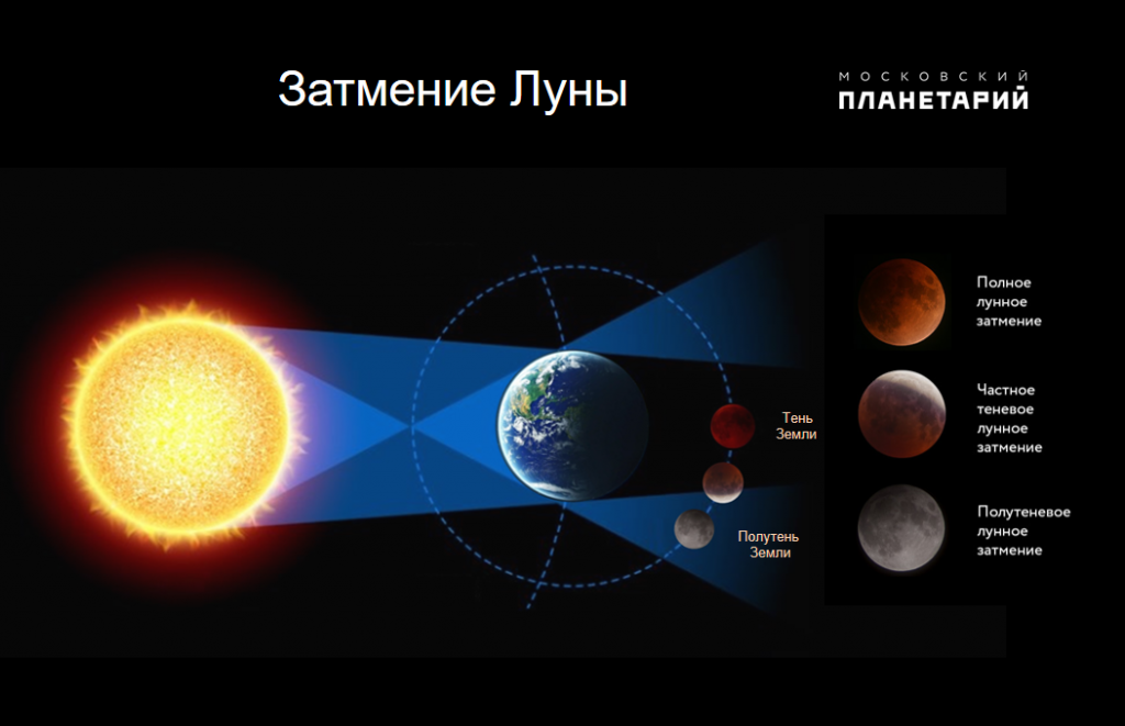 Фото из интернета