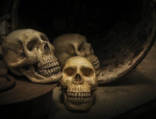 Необычный инцидент произошел зимой этого года в Ирландии. Преступники проникли в церковь Святого Михана в Дублине для того, чтобы выкрасть из склепа 800-летний череп крестоносца. Преступление дикое, но, как ни странно, довольно распространённое. Ведь за черепа знаменитостей экстравагантные коллекционеры готовы выложить немалые деньги. 
Крестовый поход без головы
Несмотря на то что полиция достаточно быстро (в течение недели) сумела обнаружить похищенный череп рыцаря, личности злоумышленников так и не были установлены. Достаточно необычно выглядела и сама кража. Преступники пробрались в церковь в выходные 23-24 февраля и отсекли мумифицированную голову рыцаря от тела. Кроме того, вандалы, как заявила полиция, надругались над 400-летней мумией монахини, повредив её останки. Обнаружил пропажу черепа служитель церкви, пришедший утром для того, чтобы открыть склеп для посетителей.
Основных версий у полиции две. Осквернить склеп могли либо религиозные фанатики, пожелавшие отомстить участнику Крестовых походов против неверных, либо богатый антиквар, вознамерившийся получить в свою коллекцию череп настоящего рыцаря. При этом вторая версия выглядит более реалистичной, поскольку в мире немало экстравагантных богачей, любящих «поговорить» с черепами великих людей. К примеру, обсудить последние веяния в музыке с самим Моцартом, поболтать о том о сём.

Приключения фальшивки
Кстати, Вольфганга Амадея Моцарта мы вспомнили вовсе неслучайно. Череп знаменитого музыканта тоже был похищен из его могилы. Согласно официальным данным, Моцарт умер 5 декабря 1791 года от некой загадочной болезни.
В Гамбурге в 2010 году из местного музея неизвестные злоумышленники похитили череп знаменитого в XIV веке пирата Клауса Штертебекера.
Предполагалось, что его отравили. Поскольку в последние годы жизни денег у композитора не водилось, его похоронили в общей могиле для бедноты. В 1801 году она была разрыта, но выяснилось, что черепа великого композитора в ней нет. Святотатцем оказался могильщик Йозеф Ротмайер, участвовавший в первом захоронении Моцарта и специально пометивший его тело проволокой. Изъяв череп знаменитого композитора, преступник продал его, поскольку и в те годы подобные артефакты имели большую ценность.
Позже череп Моцарта без нижней челюсти обнаружили в одной из частных коллекций Европы. А в 1902 году он был подарен Международному фонду имени Моцарта.
Чтобы раритет снова не украли, его тщательно скрывали от посторонних глаз, лишь изредка выставляя на обозрение публики. А в 2006 году как гром среди ясного неба грянула новость: экспертиза ДНК, во время которой генетический материал черепа Моцарта сравнили с образцами костной ткани его бабушки и племянницы, не подтвердила подлинность черепа.
Потом фальшивый череп кочевал из одной частной коллекции в другую. Да так часто, что сегодня сказать определённо, в какой из них он находится, доподлинно нельзя.

Шекспир есть, черепа нет!
В марте 2016 года неугомонные учёные, которых хлебом не корми — дай потревожить останки великих, провели подробное сканирование могилы Шекспира. Сенсация не заставила себя долго ждать, оказалось, что тело знаменитого писателя находится в могиле без головы. При этом определить, кто и когда похитил череп поэта, учёные не смогли. Впрочем, исследователи, которые привезли на кладбище в Стратфорде-на-Эйвоне огромный ультразвуковой радар и на протяжении нескольких часов проводили сканирование захоронения, внакладе не остались. Дело в том, что учёные рассчитывали обнаружить пустую могилу и подтвердить существующие на протяжении многих столетий слухи о том, что поэта по имени Шекспир никогда не существовало: по распространённой версии, под таким псевдонимом трудилась большая группа самых разных авторов. Обнаружение же тела полностью опровергло это предположение.
Нужно отметить, что ещё в 1879 году в Великобритании бродили слухи о краже черепа Шекспира из его могилы. Позднее в церкви Святого Леонарда в графстве Вустершир был выставлен череп, якобы принадлежавший великому поэту. Однако проведённая экспертиза установила, что это… женские останки. Так что, где сегодня находится настоящий череп Уильяма Шекспира, умершего в 1616 году, никто не знает.

Голова пирата
В Гамбурге в 2010 году случился инцидент. Из местного музея неизвестные злоумышленники похитили череп знаменитого в XIV веке пирата Клауса Штертебекера. Стоит отметить, что череп пирата на протяжении 6 веков преследовали различные неприятности.
Сам корсар вместе со своей ватагой из 73 морских разбойников был казнён в 1401 году. Однако его похождения были столь кровожадны, что местные жители в назидание потомкам прибили его череп к воротам гавани большим гвоздём. Затем череп был утрачен. Обнаружили его в 1878 году во время строительства портового склада. Идентификация останков пирата оказалась возможной благодаря дырке от гвоздя в его черепе и последующей ДНК-экспертизе. Позднее, в 2004 году, череп пирата передали в местный музей, приделав к нему муляж тела. Впрочем, недолго останки пирата радовали взор посетителей музея. Спустя 6 лет череп Штертебекера был похищен неизвестными. А на предложение музея о возврате за крупное вознаграждение никто не откликнулся.

Масоны и вождь апачей
Кражи черепов известных людей случаются нередко. Но, как правило, и грабители, и заказчики преступления остаются неизвестными. Исключение составляют участники оккультных обществ, практикующих мистические ритуалы. Самое известное из них «Череп и кости», действующее в Йельском университете США с 1833 года, не раз подозревалось в подобных скандалах. Самый громкий из них оказался связан с историей, произошедшей в 1917 году. Прямой предок президентского семейства Бушей, Прескотт Буш с товарищами выкрал из могилы череп легендарного вождя апачей Джеронимо, в своё время бесстрашно сражавшегося с белыми колонизаторами и умершего в плену. А в 2007 году в немецком популярном издании Spiegel появилась весьма интересная статья. В ней врач Харлин Джеронимо, являющийся правнуком вождя апачей, чью могилу осквернил Прескотт Буш, публично потребовал выдать ему череп предка для ДНК-экспертизы и захоронения. Официальное письмо соответствующего содержания было отправлено в Белый дом президенту США Бушу-младшему. Увы, ответа из Вашингтона не последовало.

Спасти святого
Одним из наиболее почитаемых святых православной церкви в нашей стране является преподобный Сергий Радонежский, чьи нетленные мощи покоятся в основанной им Троице-Сергиевой лавре в Сергиевом Посаде. Сегодня к ним вереницей выстраиваются верующие, а в начале прошлого века во время борьбы советской власти с церковью возникла серьёзная угроза утраты святых мощей. Для того чтобы этого не произошло, искусствовед и священник Павел Флоренский тайно изъял из раки голову Сергия Радонежского, заменив её на голову князя Трубецкого. Впоследствии на протяжении четверти века голова святого тайно хранилась в городе и была возвращена в монастырские стены лишь после Великой Отечественной войны. Эту историю представителям прессы в конце 1990-х годов рассказал внук Павла Флоренского.
Охота на классика
В 1931 году, в рамках кампании по борьбе с религией, было принято решение о закрытии Даниловского монастыря в Москве, а заодно и кладбища на его территории. Оставшихся монахов выселили, а в монастыре устроили приемник для беспризорных детей. Наиболее выдающиеся могилы решено было перенести на главное кладбище СССР — Новодевичье. И все бы ничего, но в гробу Гоголя не оказалось черепа. Из допроса монахов выяснилось, что в 1909 году проводилась реставрация могилы классика: обновляли ограду, укрепляли свод склепа… Вот тут-то и появился на кладбище известный московский коллекционер миллионер Бахрушин и решился на святотатство. За хорошие деньги кто-то из могильщиков украл для него череп Гоголя. По слухам, он долгие годы хранился у Бахрушина, однако смерть коллекционера в 1929 году навсегда унесла с собой тайну черепа Гоголя. Детали этого преступления долгое время были государственной тайной. И только в эпоху Горбачёва архивы КГБ, в которых хранились подробности кражи, стали достоянием историков.