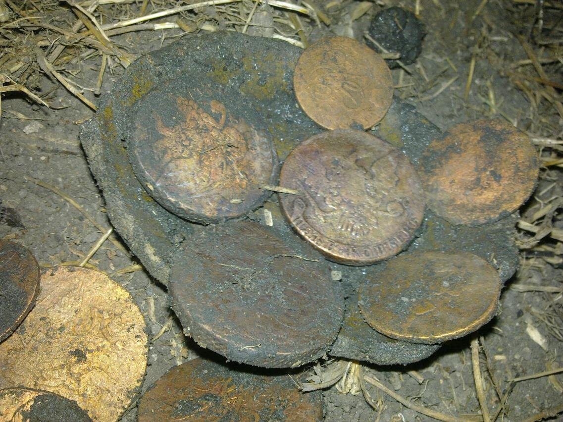 Что находят копатели в некогда богатой и населённой карельской земле? Я был удивлён количеством утвари и старых монет.