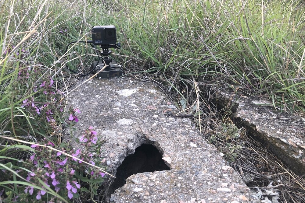 GoPro в деле
