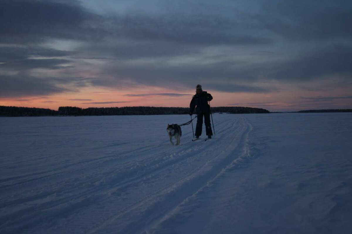 Полдень в декабре ;-) Фото автора.