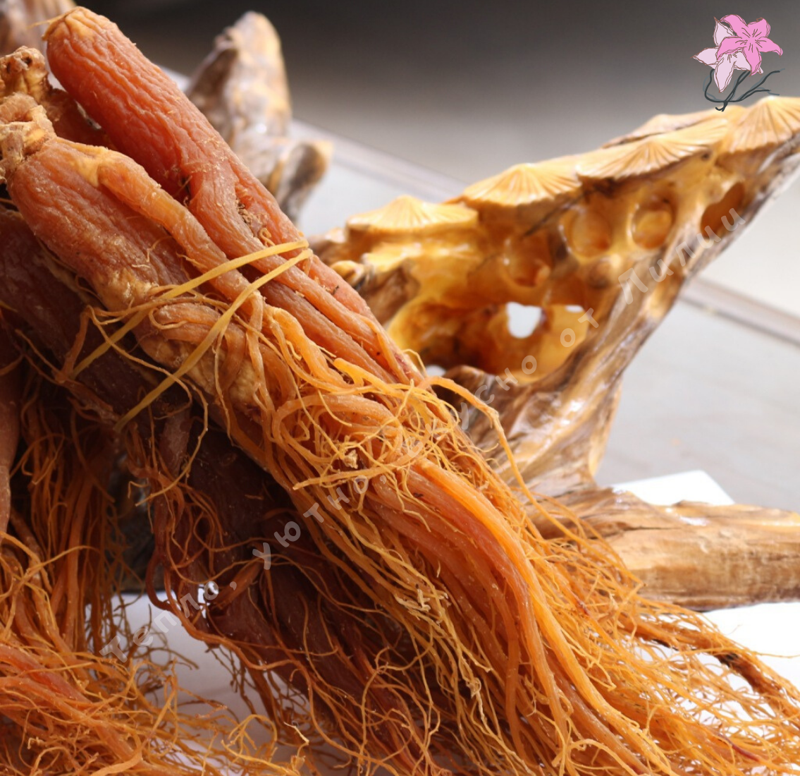 Корень красного женьшеня