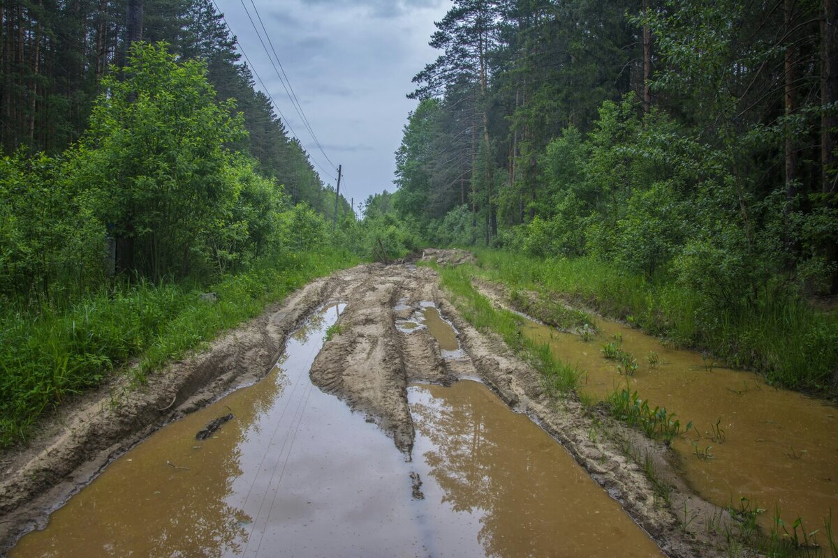 Фото автора канала.