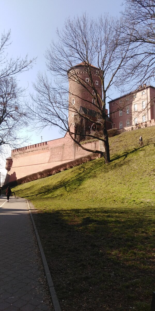 Вавельский замок. Краков. Польша. 