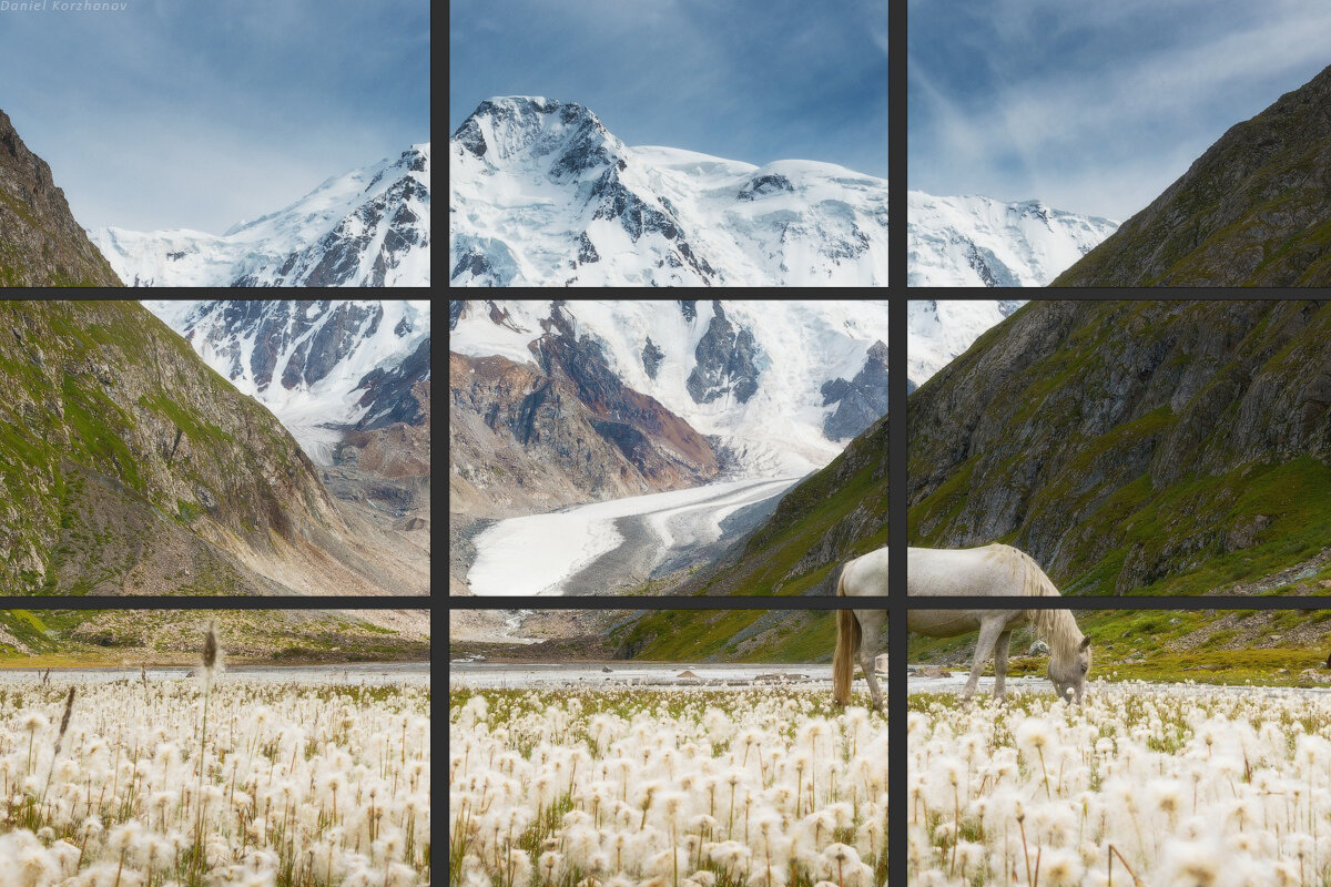 Автор оригинального изображения: Даниил Коржононов | Расположение главных объектов съемки в "зрительных центрах".