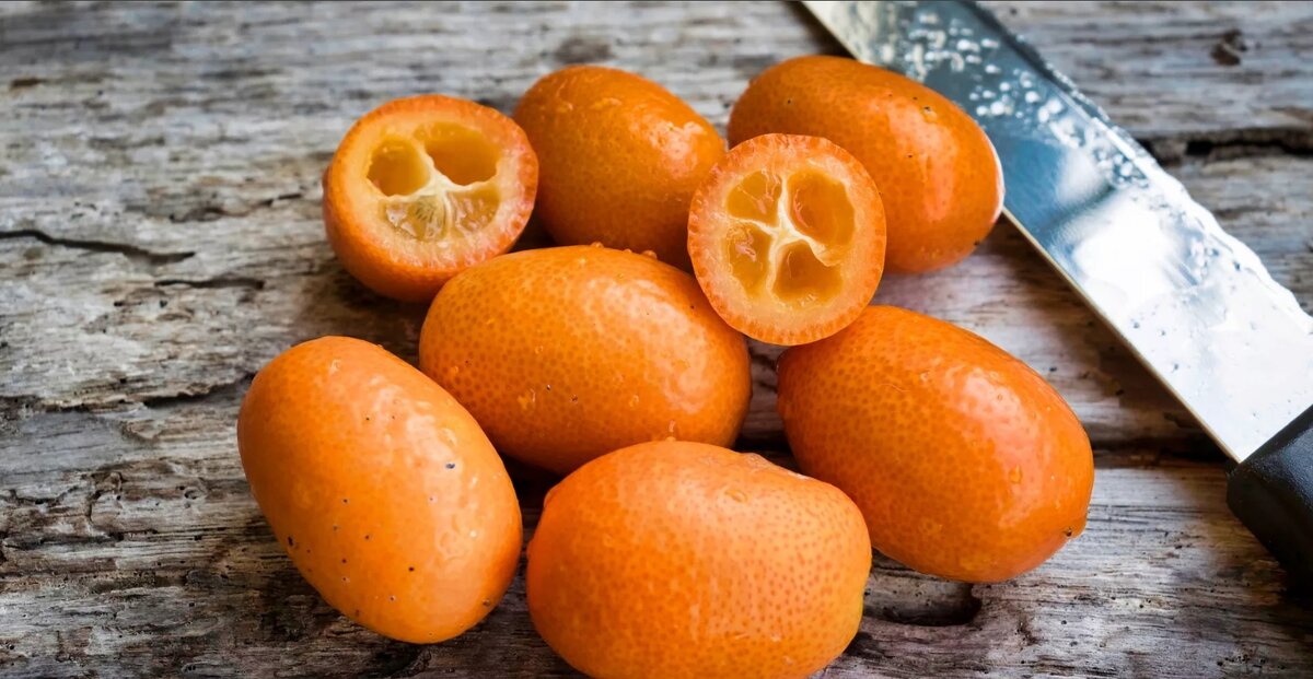 яндекс-картинки