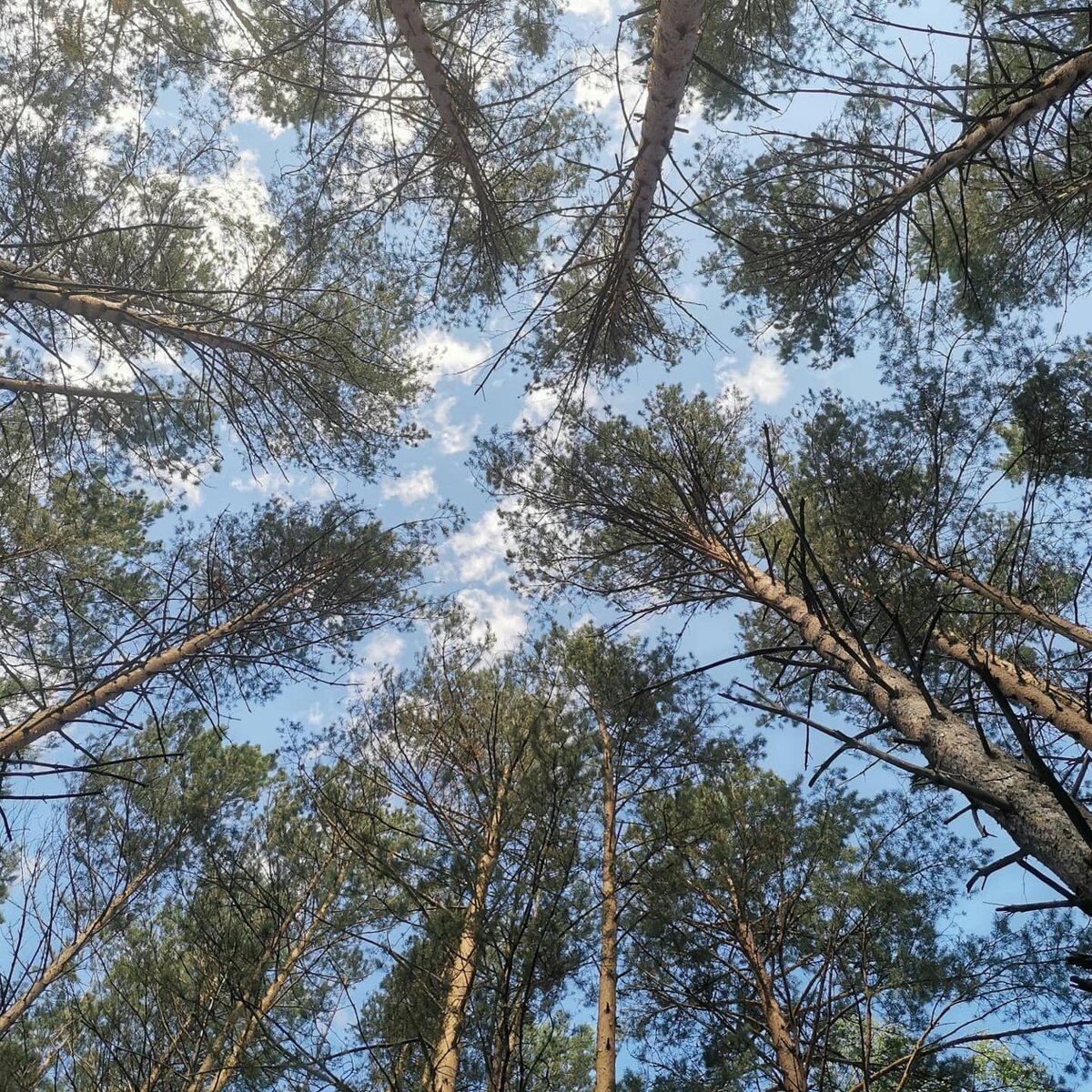 В здоровых отношениях вы и вас любят просто за то, что вы есть. Без причин.