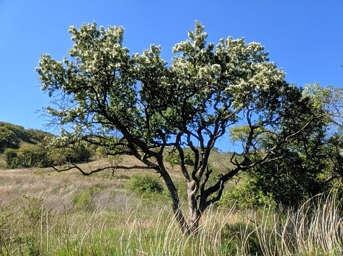 Немного дальневосточной красоты России в ленту ...)))