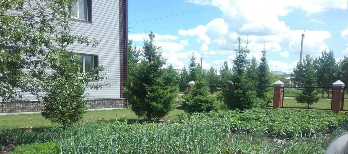 лето, свой дом