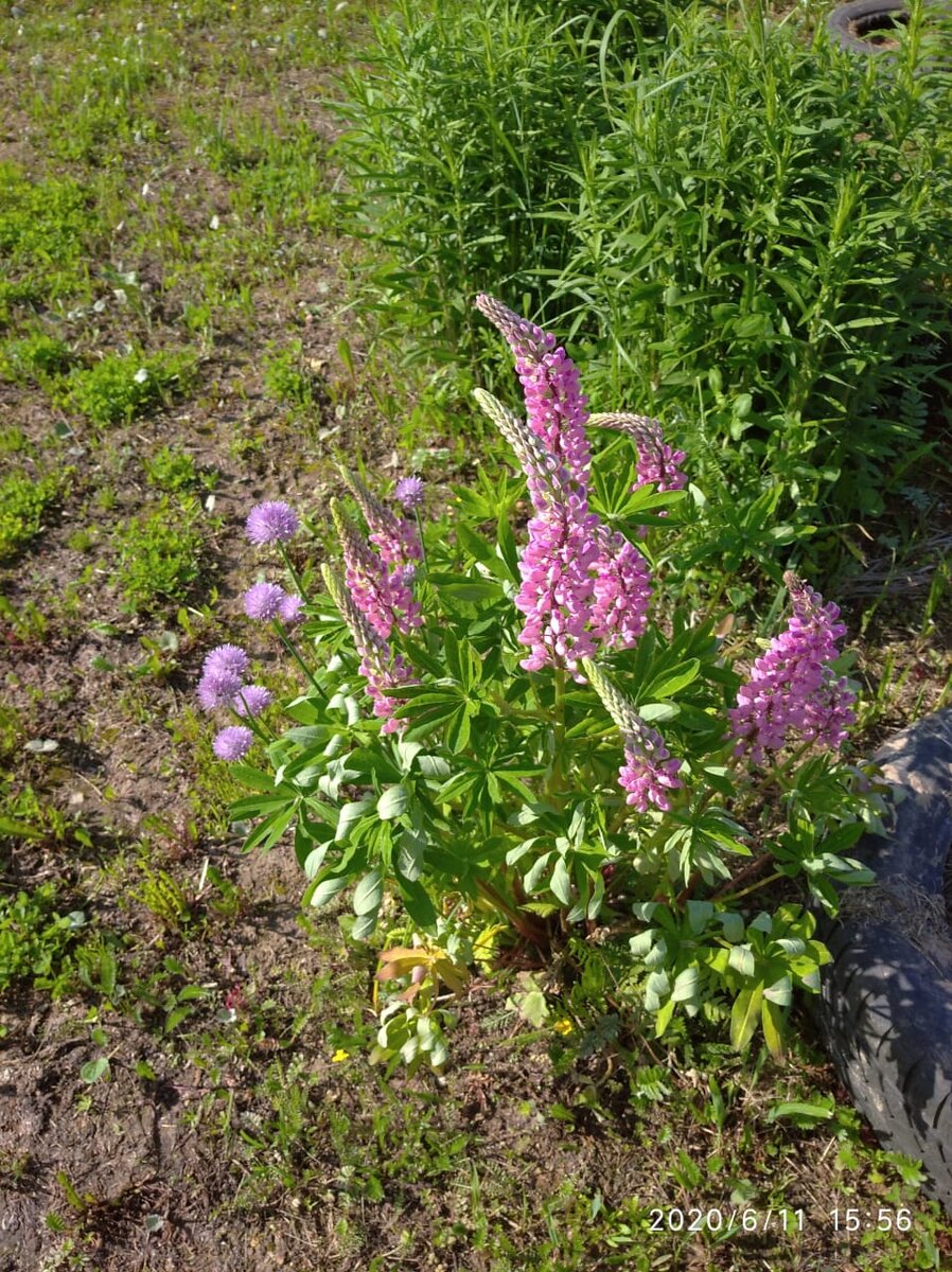 Фото из личного архива