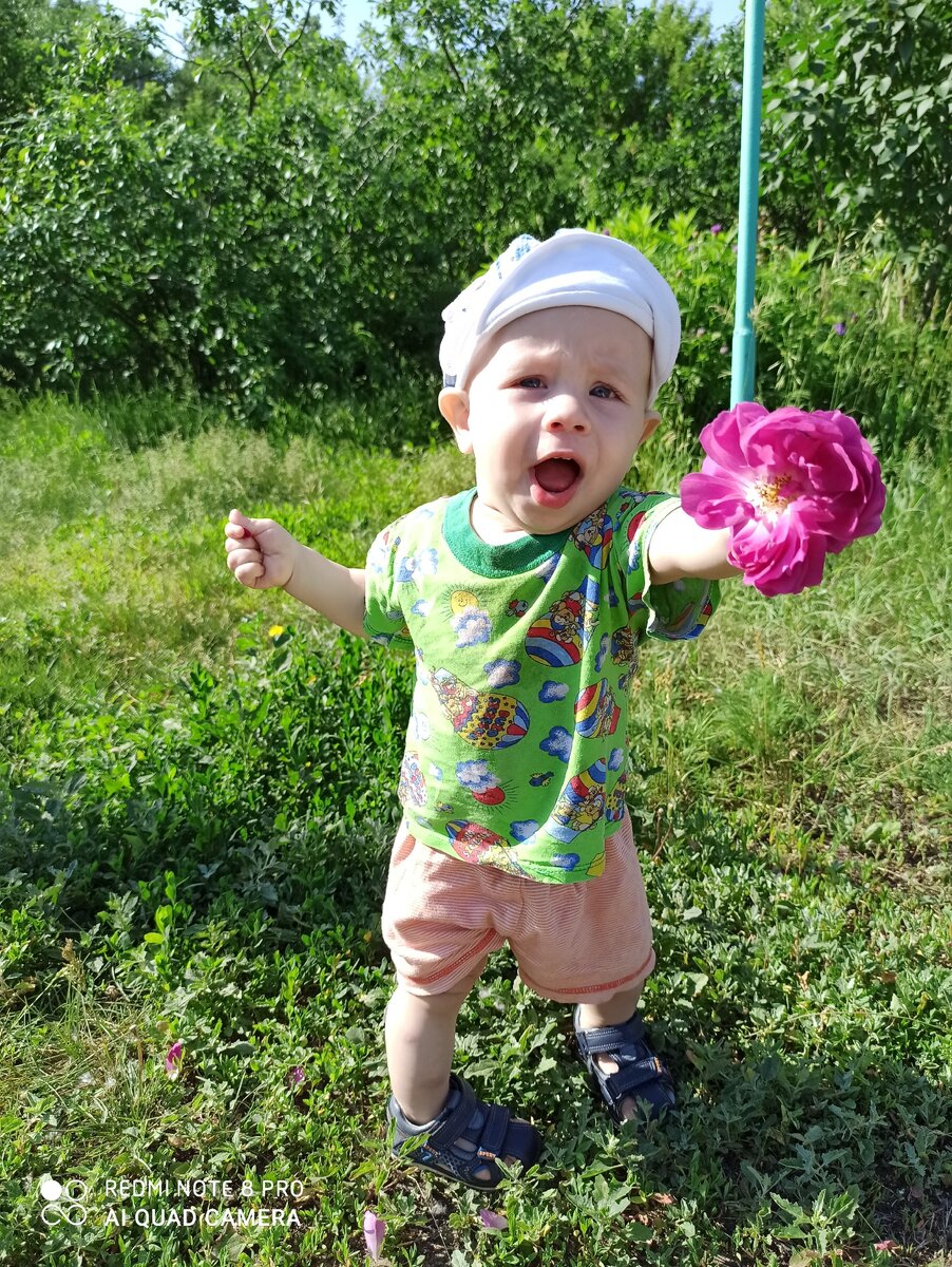 Прекрасным дамам цветок от Константина🙂