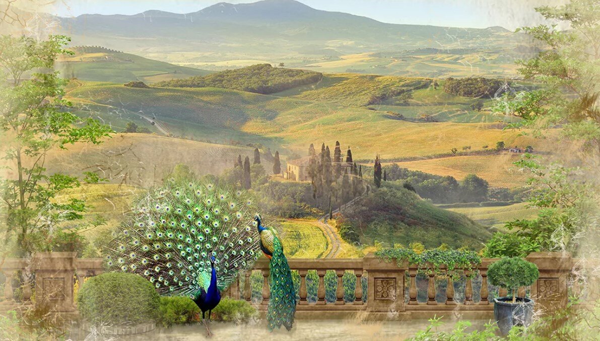 Источник картинки: diyworld.diandian.com