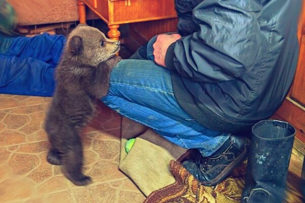 Фото 3. А что там в руках?