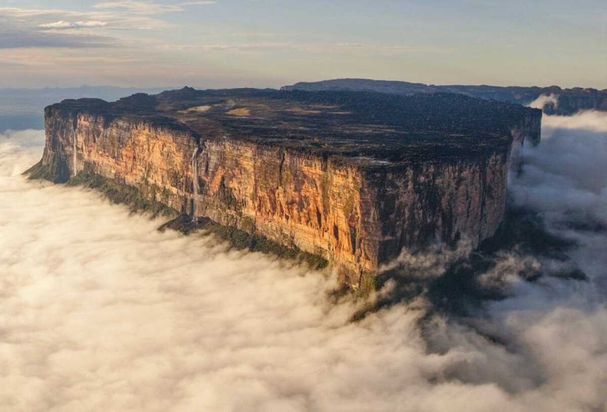 Яндекс. Картинки 