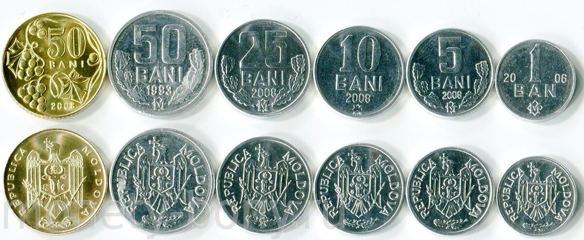 1 молдавский лей в рублях. Национальная валюта Молдовы. Лей валюта Молдавии. Молдавские деньги. Молдавские деньги монеты.