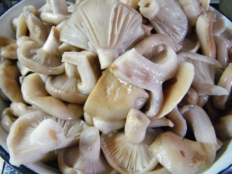 взята из источника