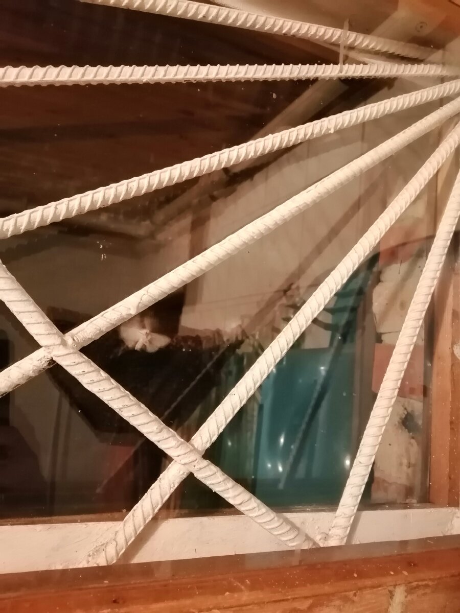 Мотылек бьется в стекло