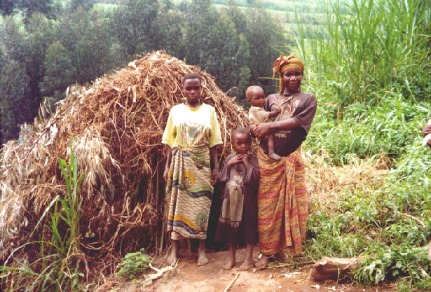 "Дикая Африка" - один из стереотипов, выгодно обыгрывающихся властями Руанды  для привлечения любителей nature travel(Яндекс картинки)