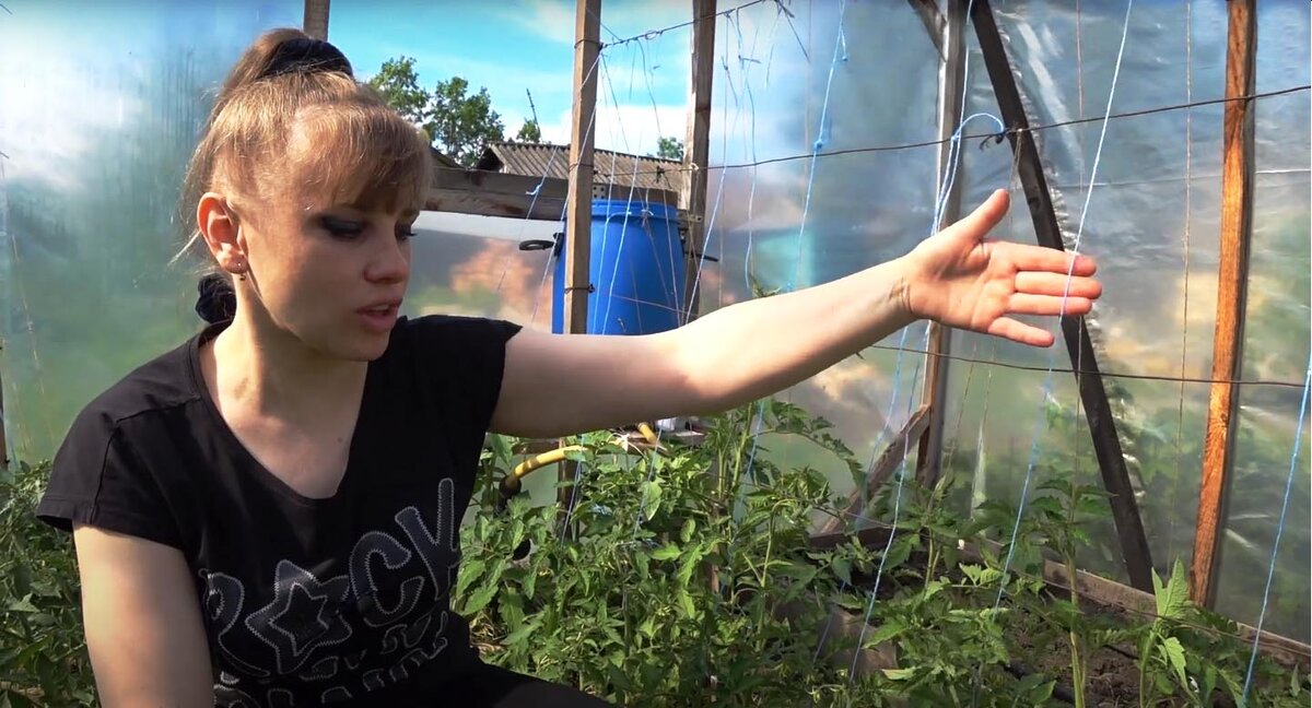 Трясу ниточки, чтобы опылялись томаты