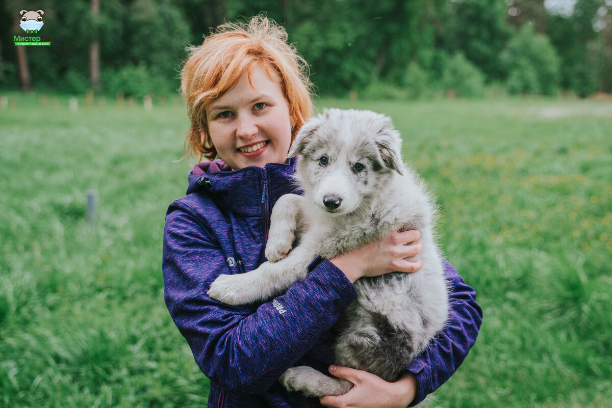 Фото интернет-зоомагазина Мистер Гав. Д. Усачева и Марвел. 